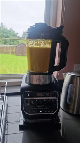 Smoothie blending in the Ninja Foodi Blender and Soup Maker by the kitchen window